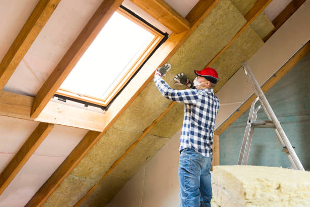 Professional Insulation Services in Littlefield, TX